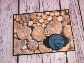 Wood Textures DSP, Dapper Denim Baker's Twine, Pretty Label punch, Touches of Nature Elements, Eclectic Shaped Paper Clips by Kate Morgan, Independent Stampin Up Demonstrator Australia