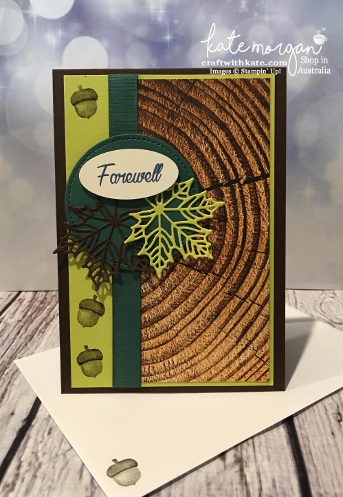 Seasonal Layers thinlits & Wood Textures DSP Masculine Farewell card