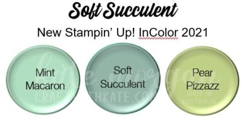 Soft Succulent 2021-2023 InColor Stampin Up