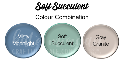 Soft Succulent Combination
