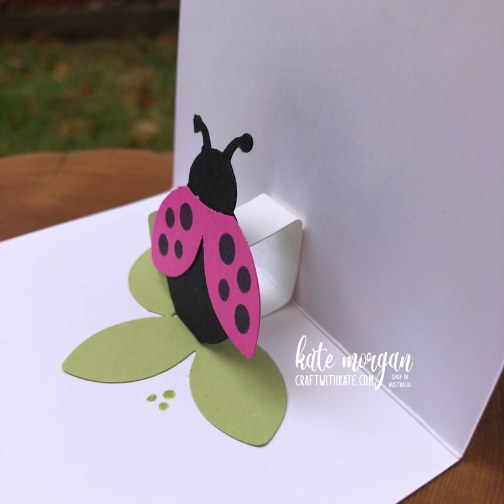 Hello Ladybug Pop Up card by Kate Morgan, Stampin Up, Australia 2022