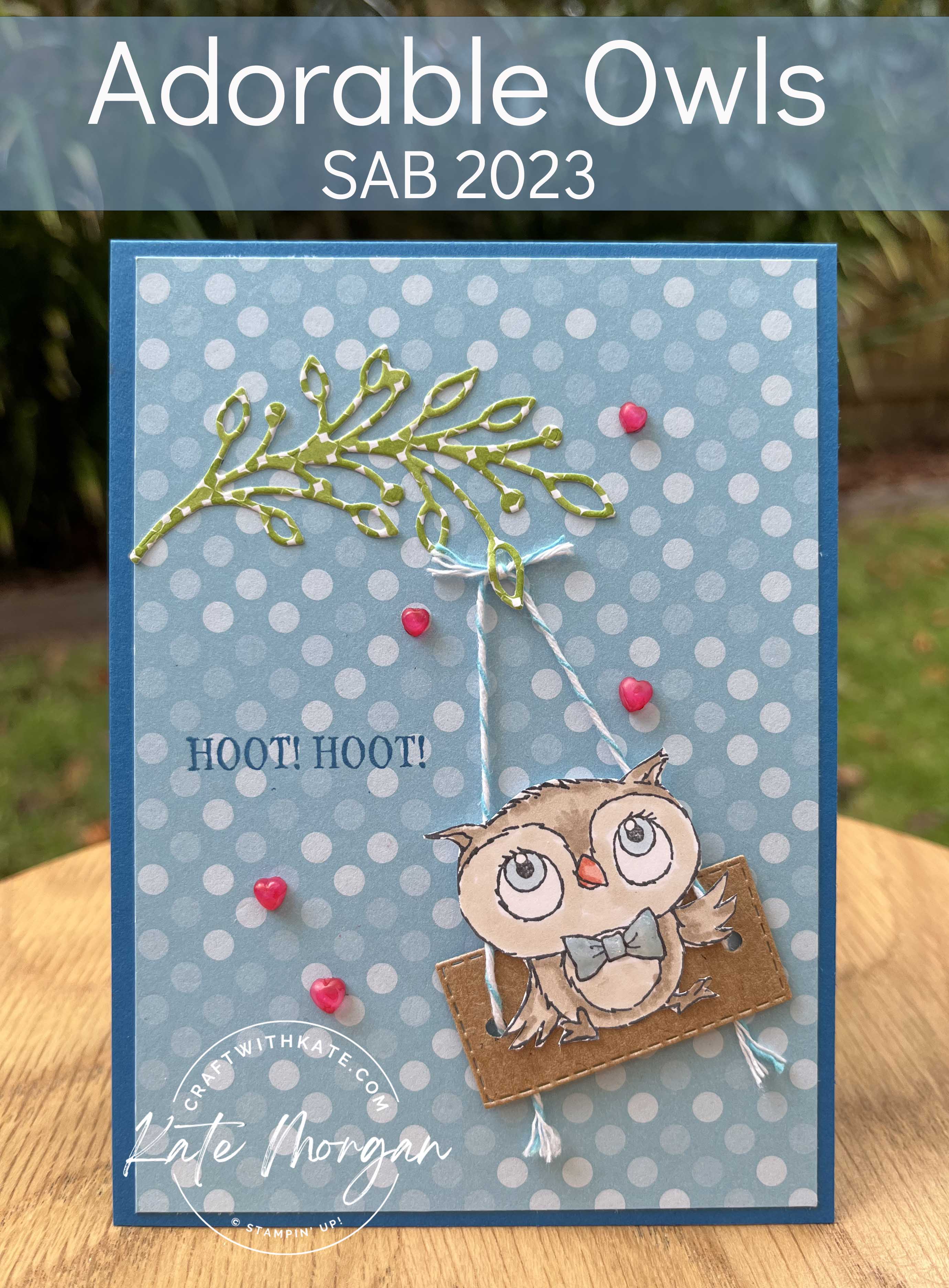 Adorable Owls on swing card for Pacific Point CCBH by Kate Morgan Stampin Up Australia SAB 2023