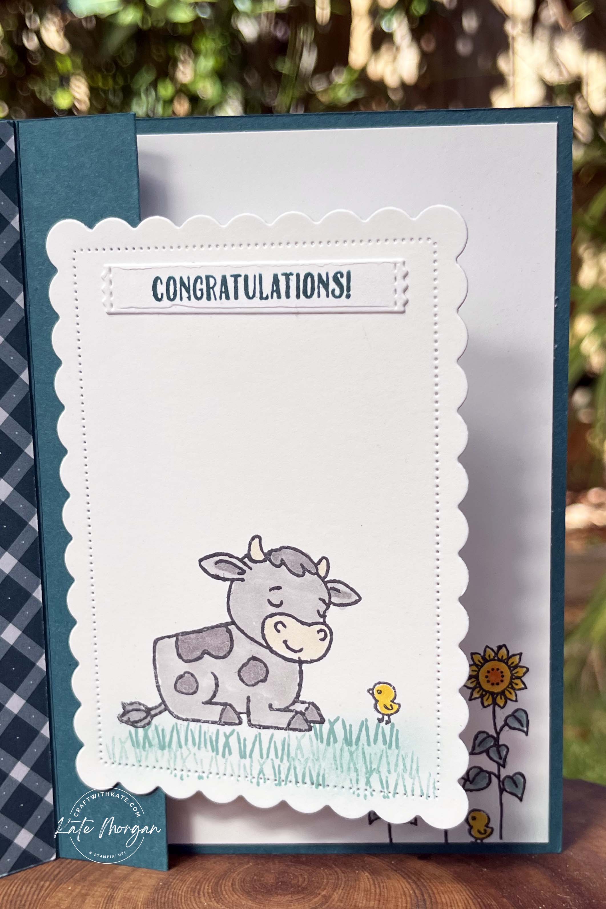Cutest Cows card Pretty Peacock Colour Creations Blog Hop by Kate Morgan Stampin Up Australia 2024 inside 1