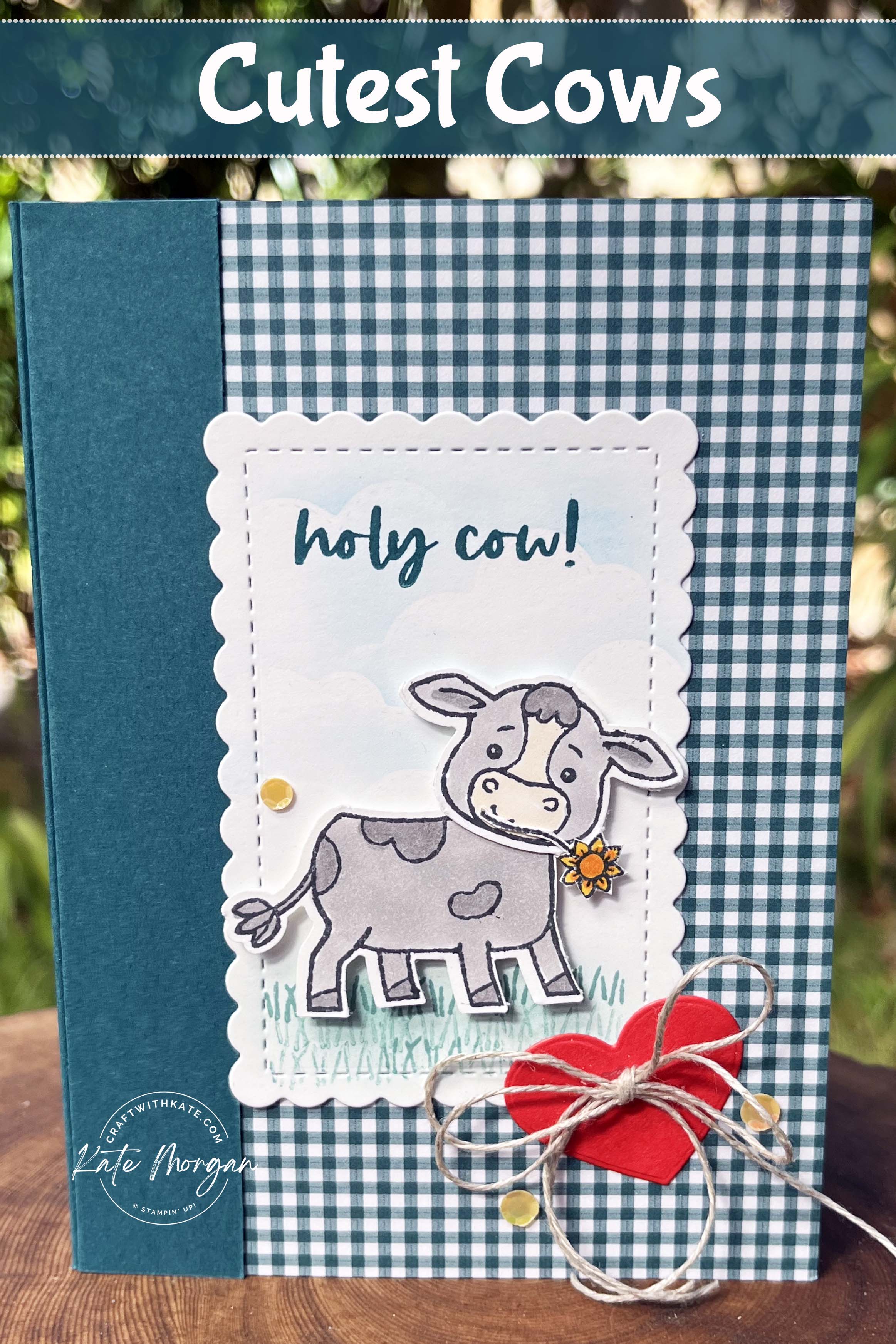 Cutest Cows card Pretty Peacock Colour Creations Blog Hop by Kate Morgan Stampin Up Australia 2024
