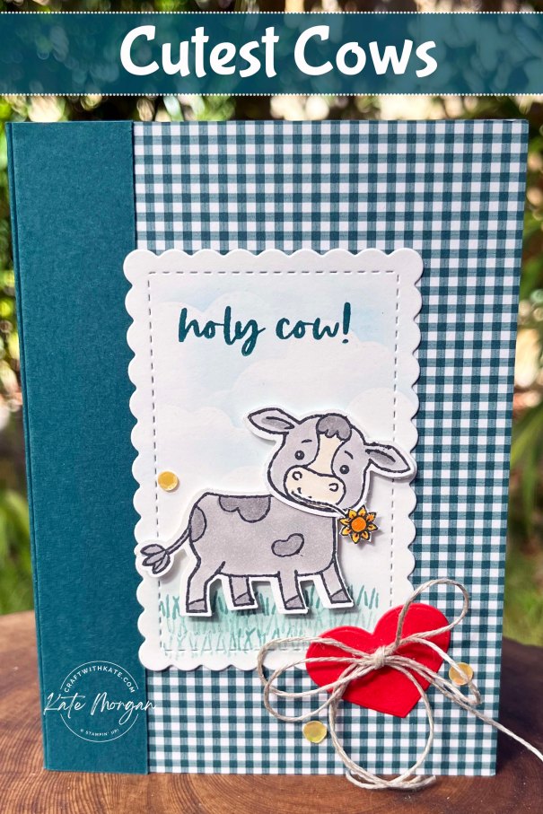 Cutest Cows card Pretty Peacock Colour Creations Blog Hop by Kate Morgan Stampin Up Australia 2024